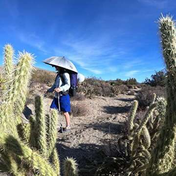 Sleek Carbon Travel Umbrella - Stylish & Durable