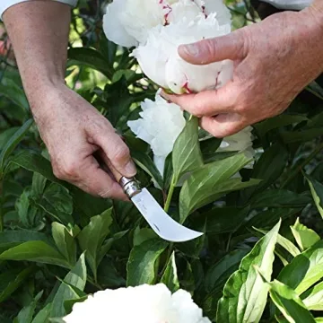 Opinel No. 8 Lightweight Pruning Knife for Gardening and Foraging