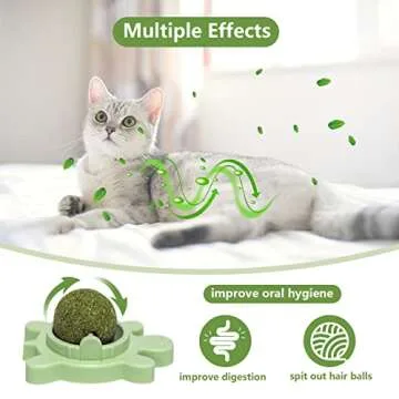 STARROAD-TIM Catnip Ball Toy Catnip Licking Balls for Cats Catnip Rollerball Wall Cat Nips Catnips Organic Ball Teeth Cleaning Dental Kitten Toys Interactive Cat Lick Chew Toy Indoor