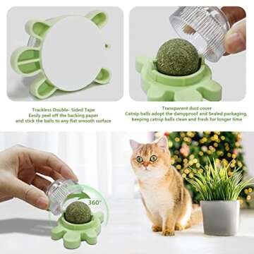 STARROAD-TIM Catnip Ball Toy Catnip Licking Balls for Cats Catnip Rollerball Wall Cat Nips Catnips Organic Ball Teeth Cleaning Dental Kitten Toys Interactive Cat Lick Chew Toy Indoor