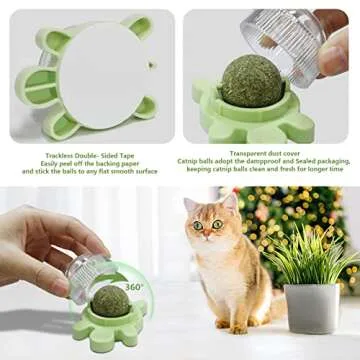 STARROAD-TIM Catnip Ball Toy Catnip Licking Balls for Cats Catnip Rollerball Wall Cat Nips Catnips Organic Ball Teeth Cleaning Dental Kitten Toys Interactive Cat Lick Chew Toy Indoor