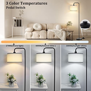Stylish LED Floor Lamp with 3 Color Temperature Settings