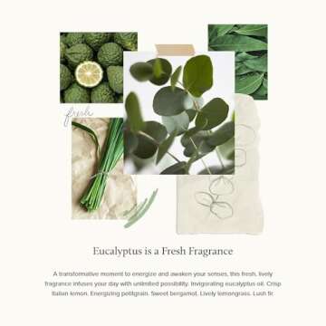 Thymes Fragrance Mist - Scented Room Spray for Home Fragrance - Eucalyptus - 3 oz