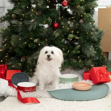 Waterproof Silicone Pet Food Mat - Non-Slip & Easy to Clean