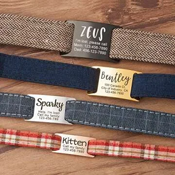 Anavia Slide On Silent Pet ID Tags, S/M/L/XL Personalized Gold Black Stainless Steel Customized Engraved Cat Dog Name Tags, Glossy Finish Chew-Proof Quiet Dog Collar Tag (X-Large, Silver)