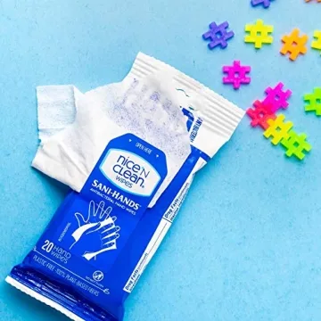 Nice n' Clean Anti-Bacterial Hand Wipes for On-the-Go Hygiene