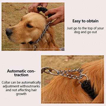 Dog Collar and Leash Set with Heavy Duty Dog Leash, Heavy Duty Rope Braided Dog Training Leash Strong Dog Leash, Durable Nylon Dog Training Leash for Small Medium Large Dogs