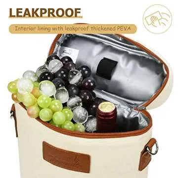 Tirrinia 2 Bottle Wine Gift Tote Carrier - Leakproof & Insulated Padded Versatile Wine Cooler Bag fo...