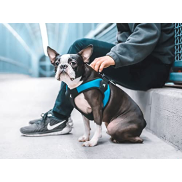 Gooby X-Small Easy Fit No Pull Harness for Small Dogs