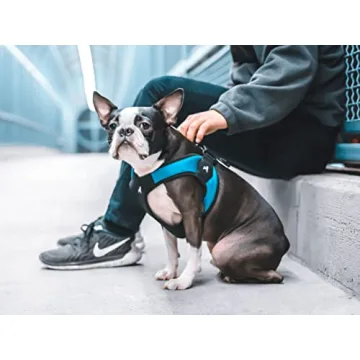 Gooby X-Small Easy Fit No Pull Harness for Small Dogs