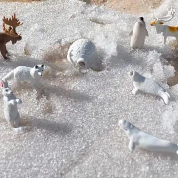 Safari Ltd Arctic TOOB with 10 Realistic Animal Figurines