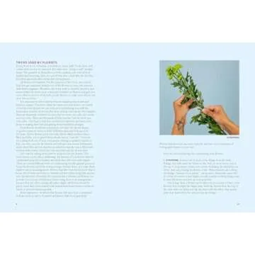 The Encyclopedia of Cut Flowers: What Flowers to Buy, When to Buy Them, and How to Keep Them Alive L...