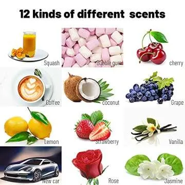 Ikeda Scents Car Freshener: 12 Natural Aromas for Cars