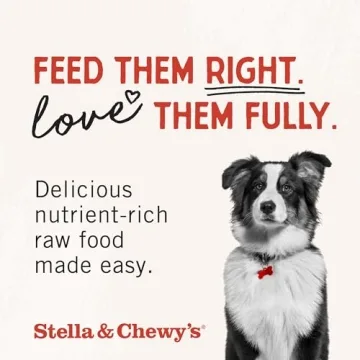 Stella & Chewy's Freeze Dried Raw Super Beef Meal Mixer