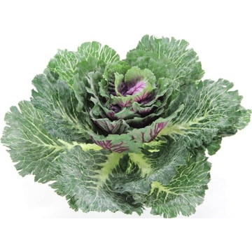 Admired By Nature 1pc Faux Cabbage Artificial Vegetables Realistic Fake Food Plant Props Artificial ...