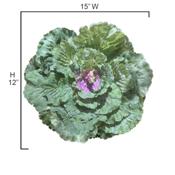 Admired By Nature Realistic Faux Cabbage Plant Decor