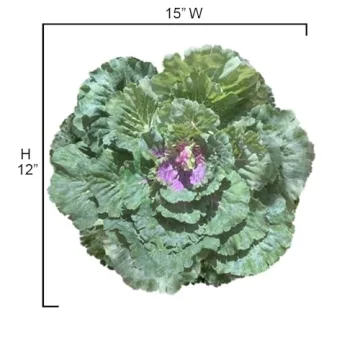 Admired By Nature Realistic Faux Cabbage Plant Decor