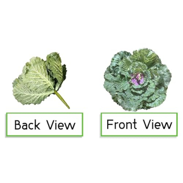 Admired By Nature Realistic Faux Cabbage Plant Decor