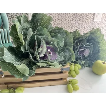 Admired By Nature Realistic Faux Cabbage Plant Decor