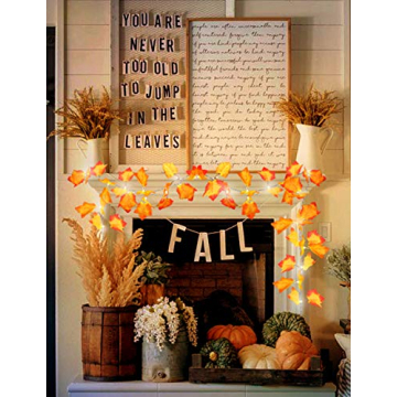 Lighted Fall Garland for Thanksgiving Decor 16.4ft