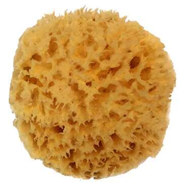 Natural Sea Wool Sponge 4-5" by Spa Destinations - Perfect Bath & Shower Experience