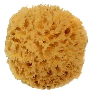 Natural Sea Wool Sponge 4-5" by Spa Destinations - Perfect Bath & Shower Experience