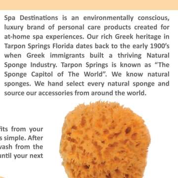 Natural Sea Wool Sponge - Spa Destinations 4-5"