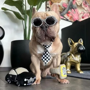 Haute Diggity Dog Furcedes Car Plush Dog Toy with Squeaker