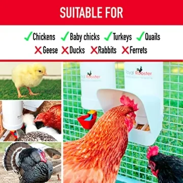 Royal Rooster Chicken Feeder & Waterer Set for Easy Feeding
