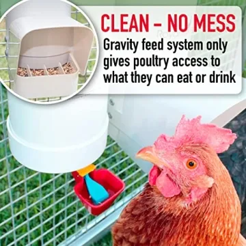Royal Rooster Chicken Feeder & Waterer Set for Easy Feeding