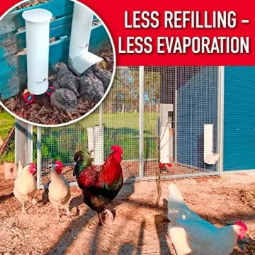 Royal Rooster Chicken Feeder & Waterer Set for Easy Feeding