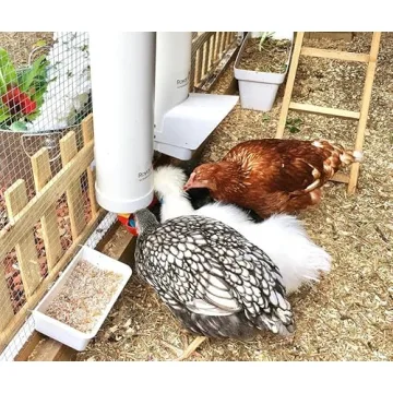 Royal Rooster Chicken Feeder & Waterer Set for Easy Feeding