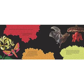 Before the Seed Understand Pollination for Kids