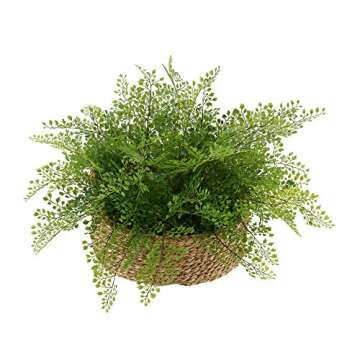 House of Silk Flowers Faux Fern in Seagrass Tray Basket (Maidenhair Fern)