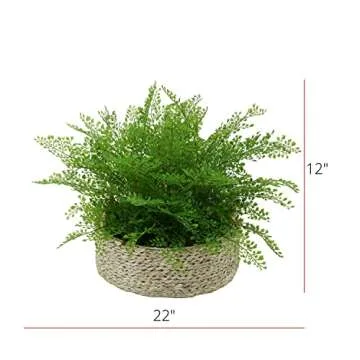 House of Silk Flowers Faux Fern in Seagrass Tray Basket (Maidenhair Fern)