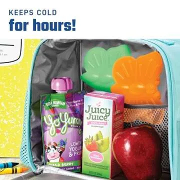 Fit & Fresh Kids Lunch Box Ice Packs, Multicolored Set