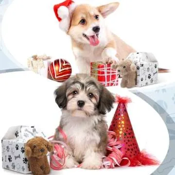 Gilprop 24 Dog Party Favor Boxes for Any Celebration