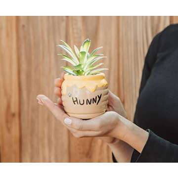 Winnie The Pooh Hunny Pot Mini Planter 3-Inch Decor