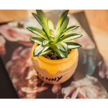 Winnie The Pooh Hunny Pot Mini Planter 3-Inch Decor