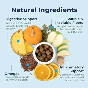 Glandex Anal Gland Chews for Dogs – Support Digestive Health