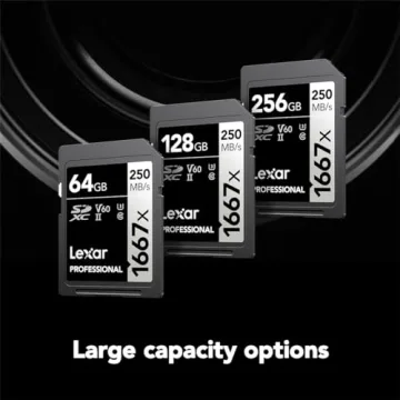 Lexar 128GB Professional 1667x SD Card for Video & Photography