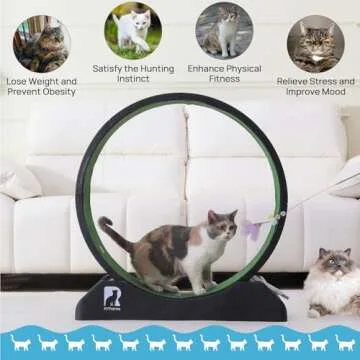 Cat Exercise Wheel, 31.5 Inch Cat Treadmill for Indoor Cats, Cat Running Wheel with Carpeted Runway, Easy to Install & Fitness & Health, Suitable for Most Cats, Plastic Cat Wheel