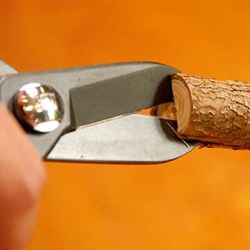 Ars Corporation FP-17-BK Commercial Flower Scissors Fleur (Black)