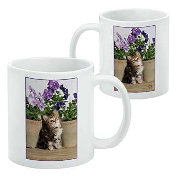 Ragdoll Tiffany Kitten Cat Flower Pots Ceramic Coffee Mug - 11oz, Novelty Gift