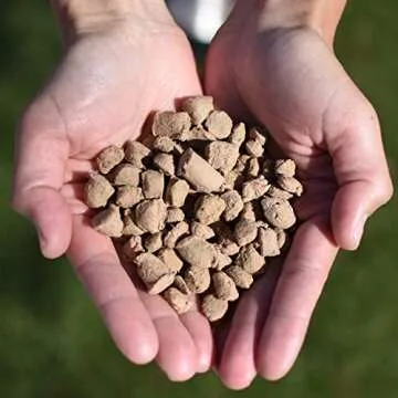 Steve's Real Food Quest Super Premium Freeze Dried Raw Cat Food, Beef Recipe, 10oz