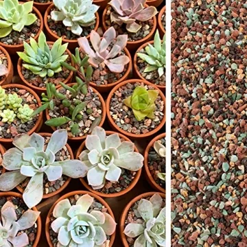 18lb Natural Lava Rocks for Plants - Ideal for Succulents