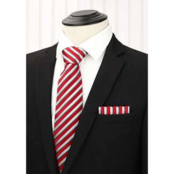 HISDERN Men's Necktie Collections, Lot 5 PCS Classic Men's Silk Tie Set Necktie & Pocket Square with...