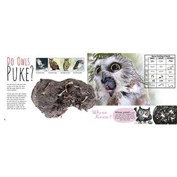 Whooo Knew? Discover the Truth About Owls Today!