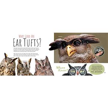 Whooo Knew? Discover the Truth About Owls Today!