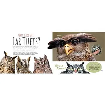 Whooo Knew? Discover the Truth About Owls Today!